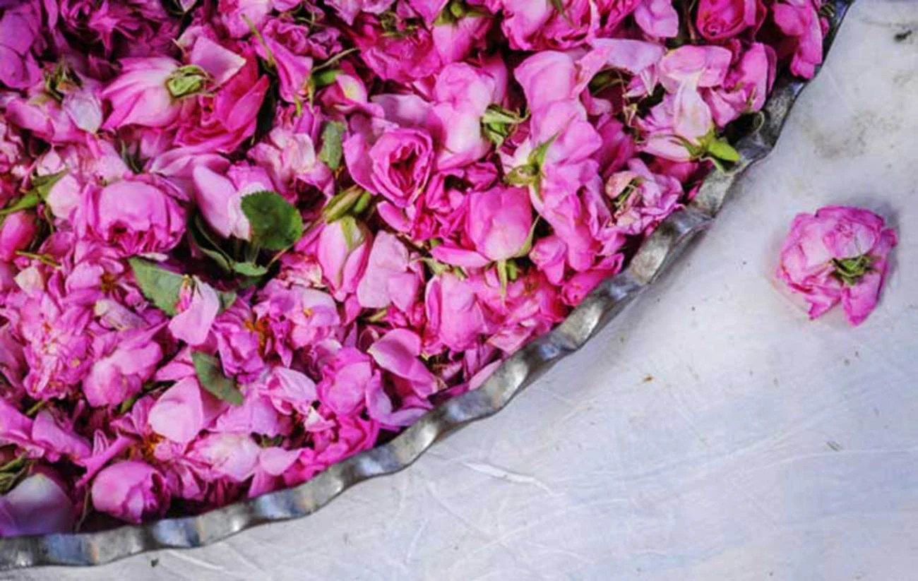 اجاره اتوبوس برای گلاب گیری کاشان