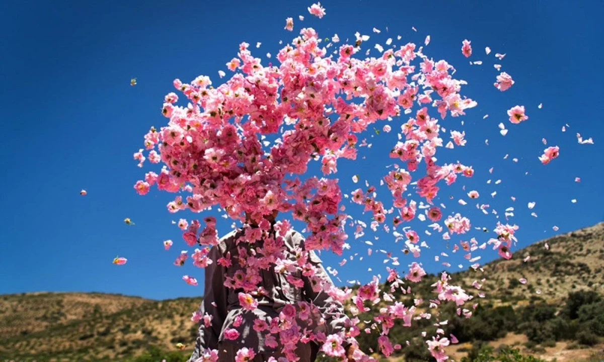 رنت اتوبوس برای کاشان