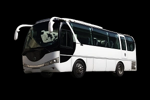 میدل باس
